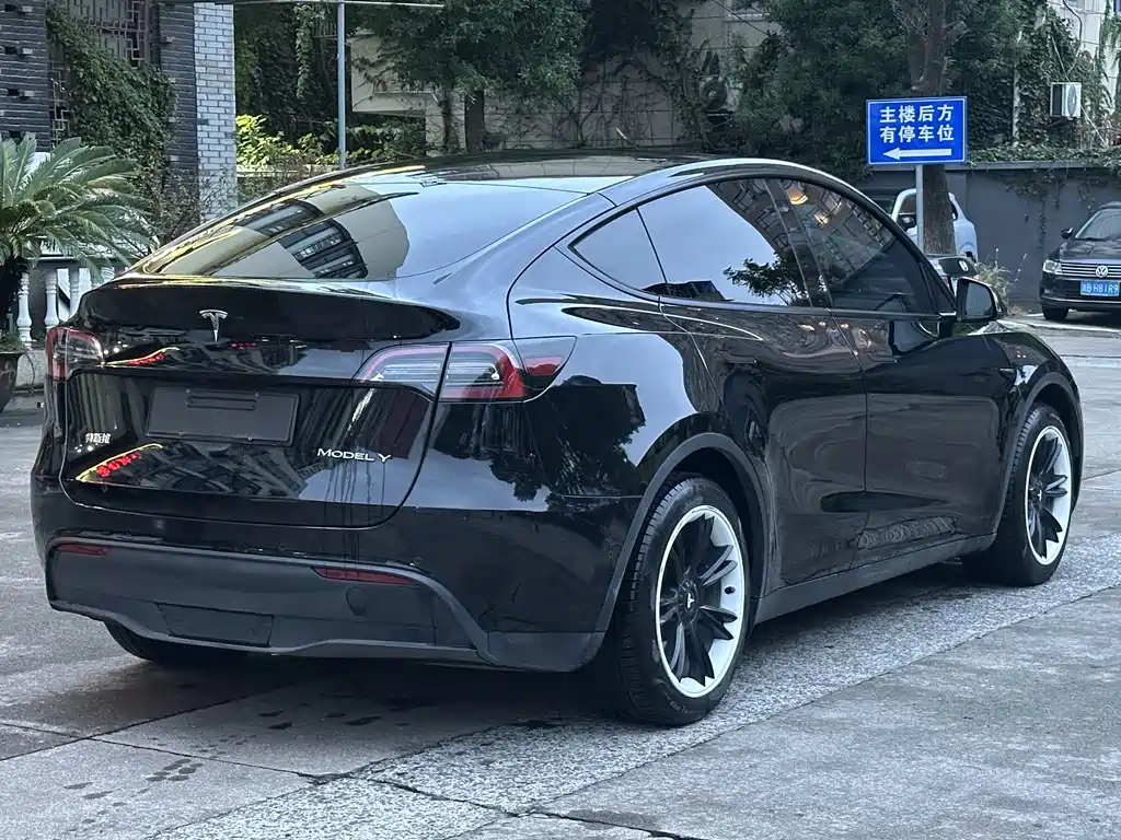 Tesla Model Y — миниатюра 10