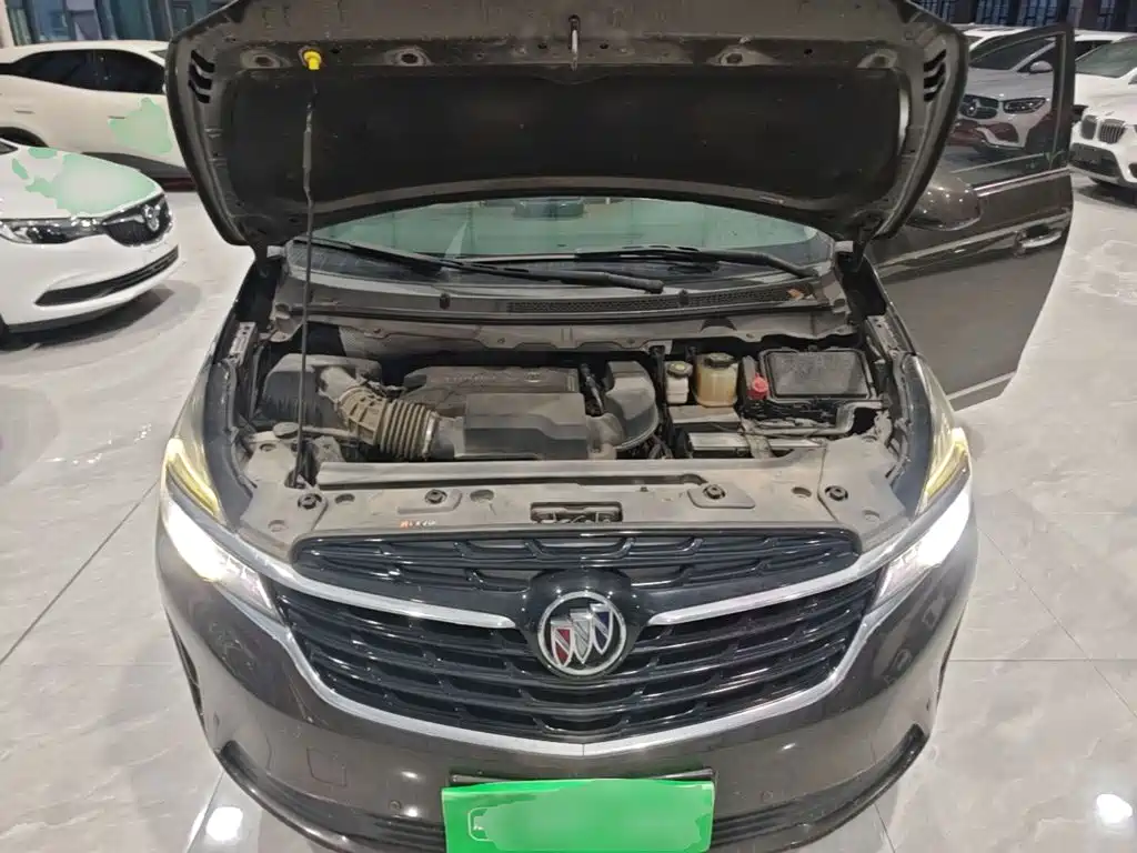 Buick GL8 — миниатюра 20