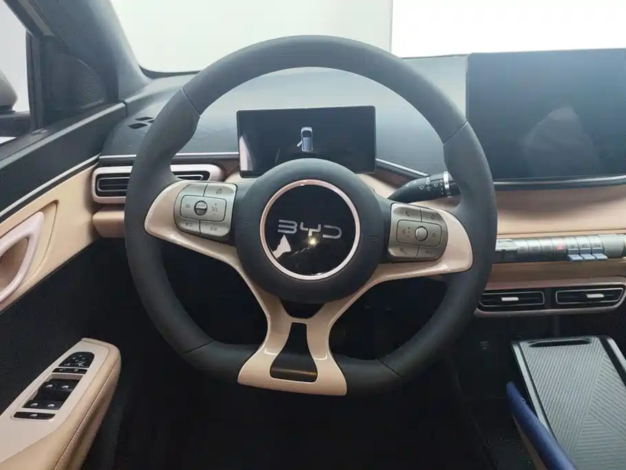 BYD Seagull — миниатюра 15