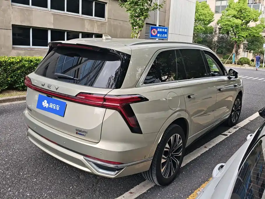 Wey Wey Lanshan — миниатюра 3