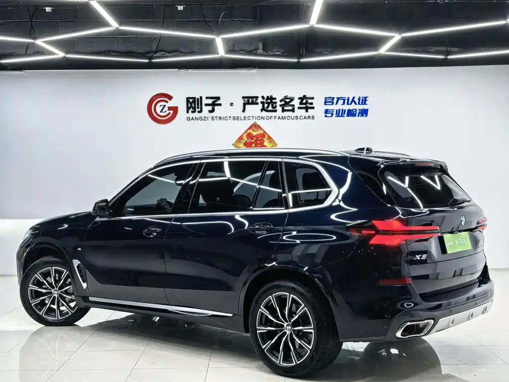 BMW X5 — миниатюра 6