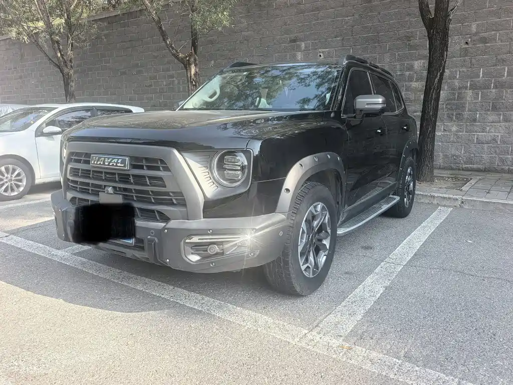 Haval Big Dog