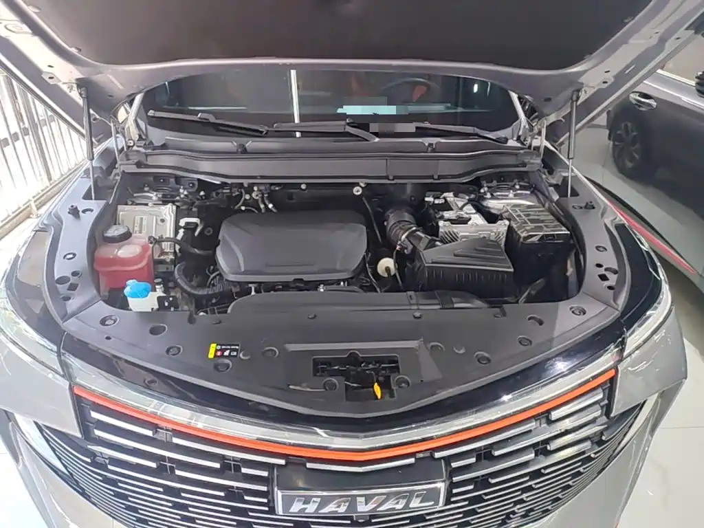 Haval Shenshou — миниатюра 20