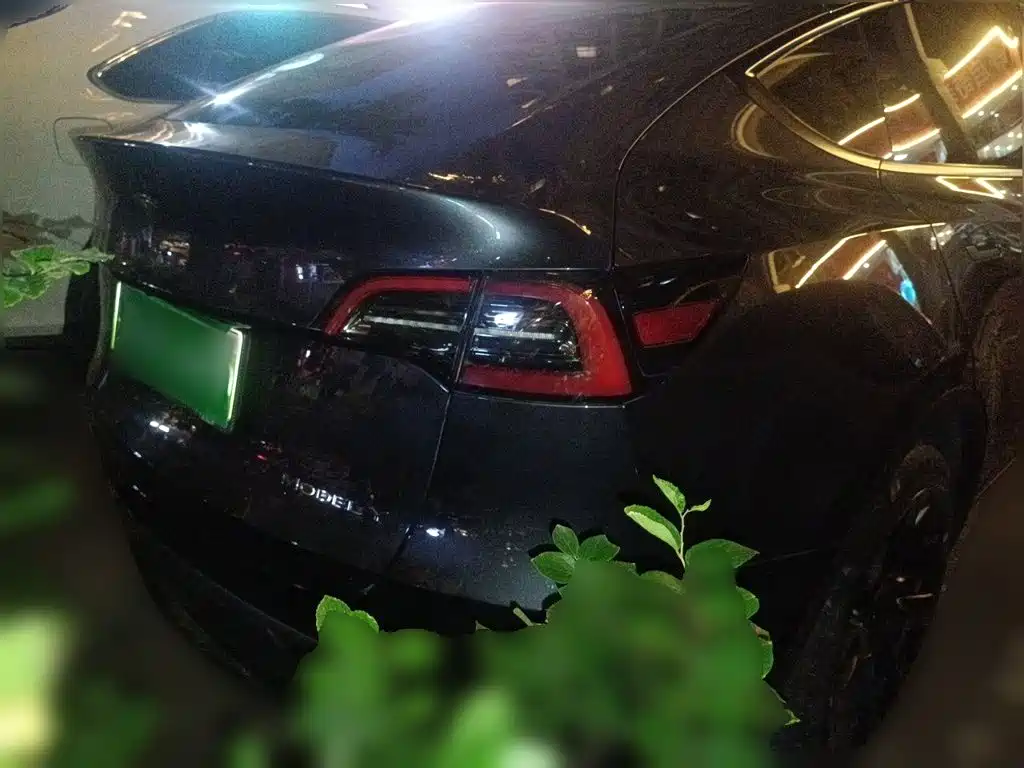 Tesla Model Y — миниатюра 4