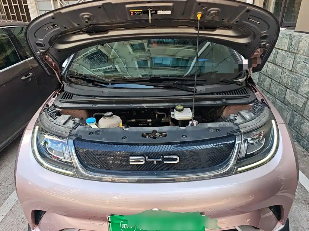 BYD Dolphin — миниатюра 17