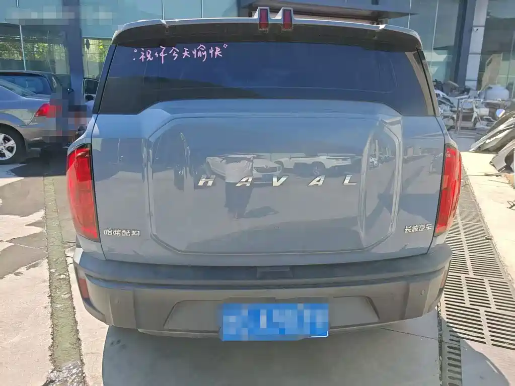 Haval Cool Dog — миниатюра 4