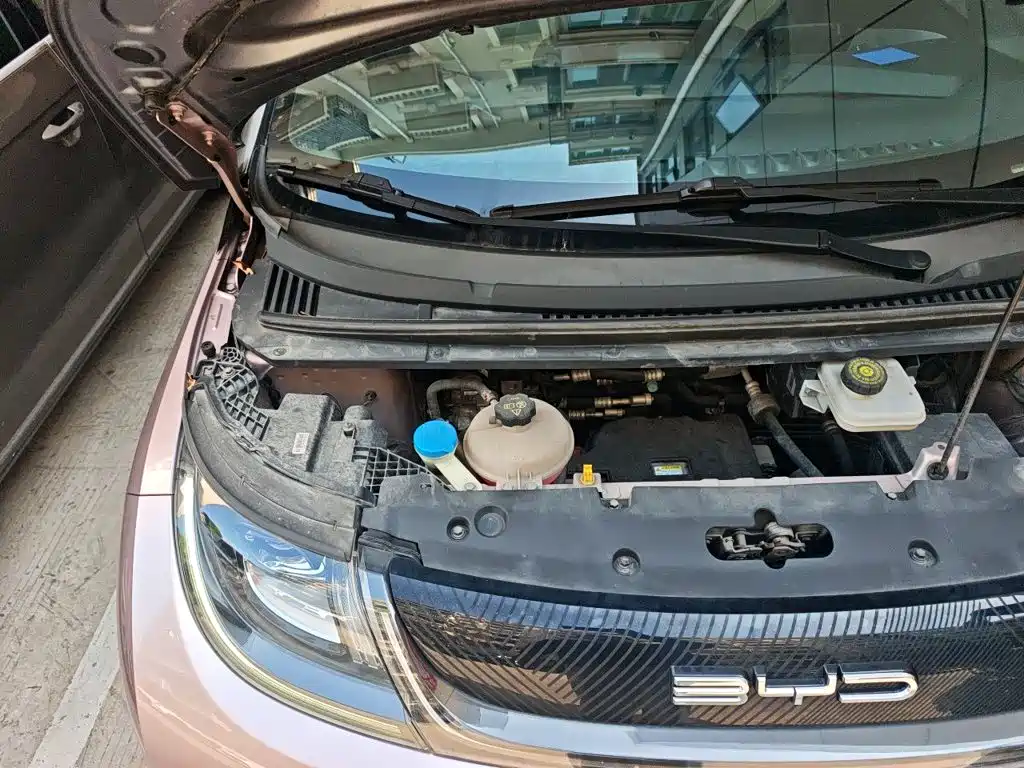 BYD Dolphin — миниатюра 22