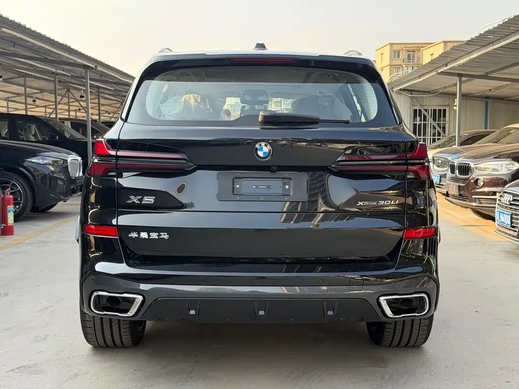 BMW X5 — миниатюра 8