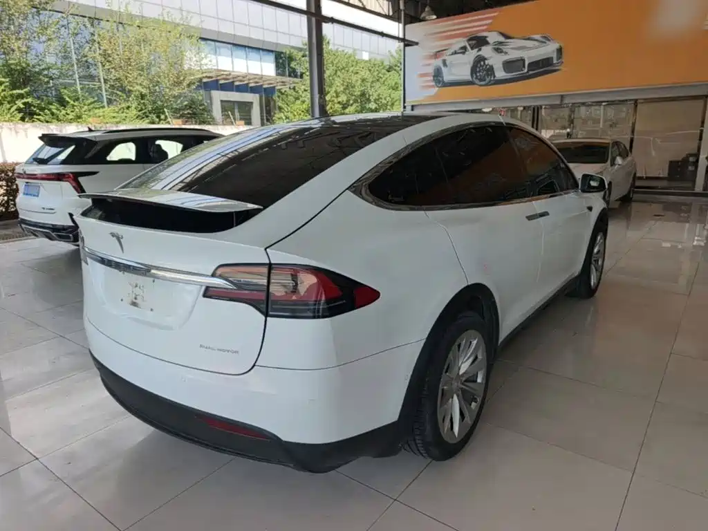 Tesla Model X — миниатюра 7