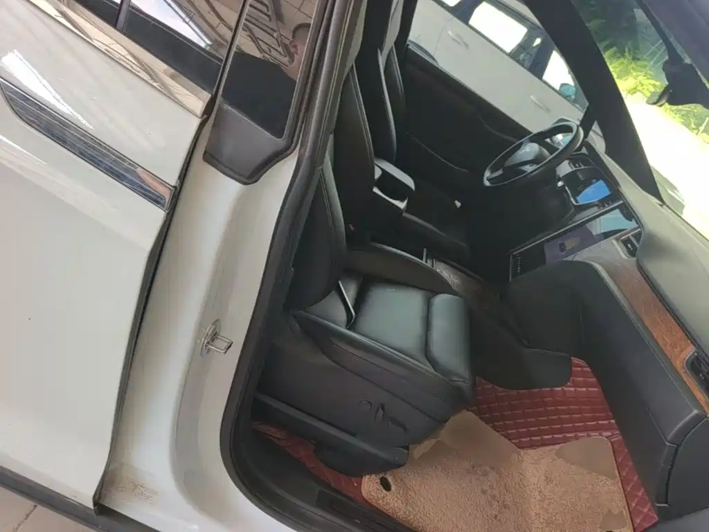 Tesla Model X — миниатюра 25