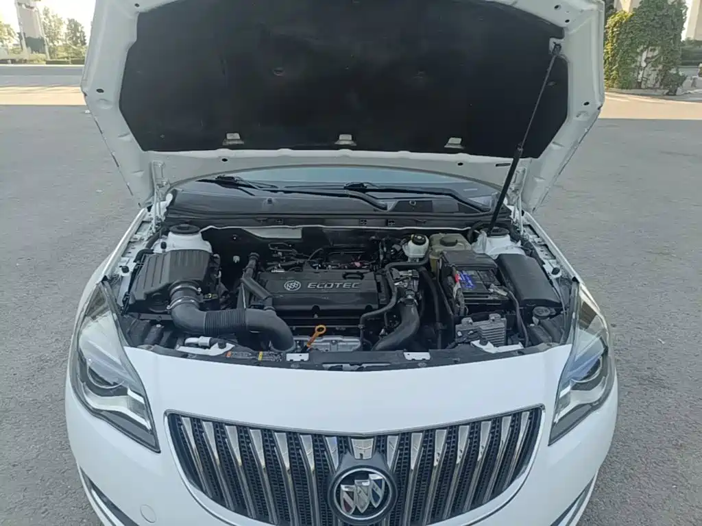 Buick Regal — миниатюра 20