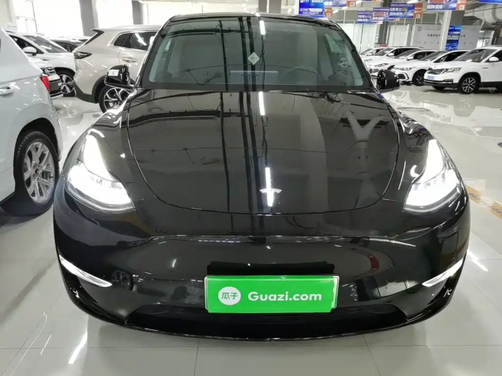 Tesla Model Y — миниатюра 3