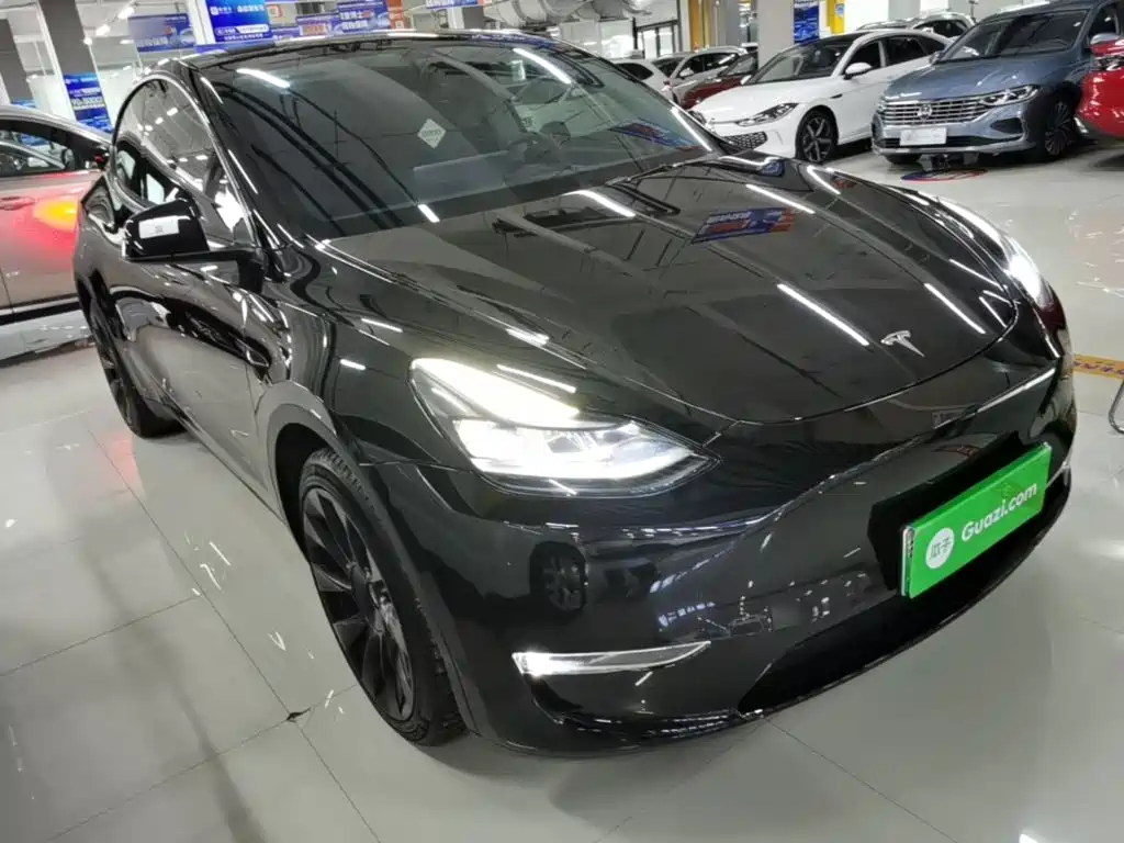 Tesla Model Y — миниатюра 4