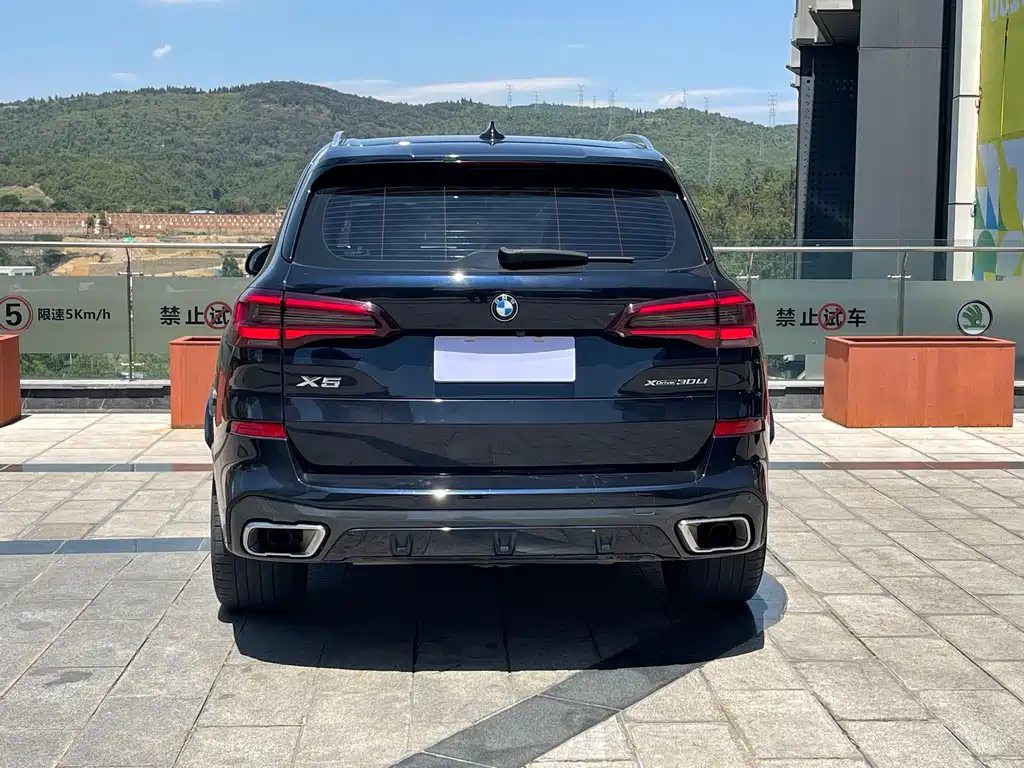 BMW X5 2022 xDrive 30Li Premium M Sport