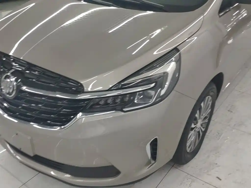 Buick GL8 — миниатюра 24
