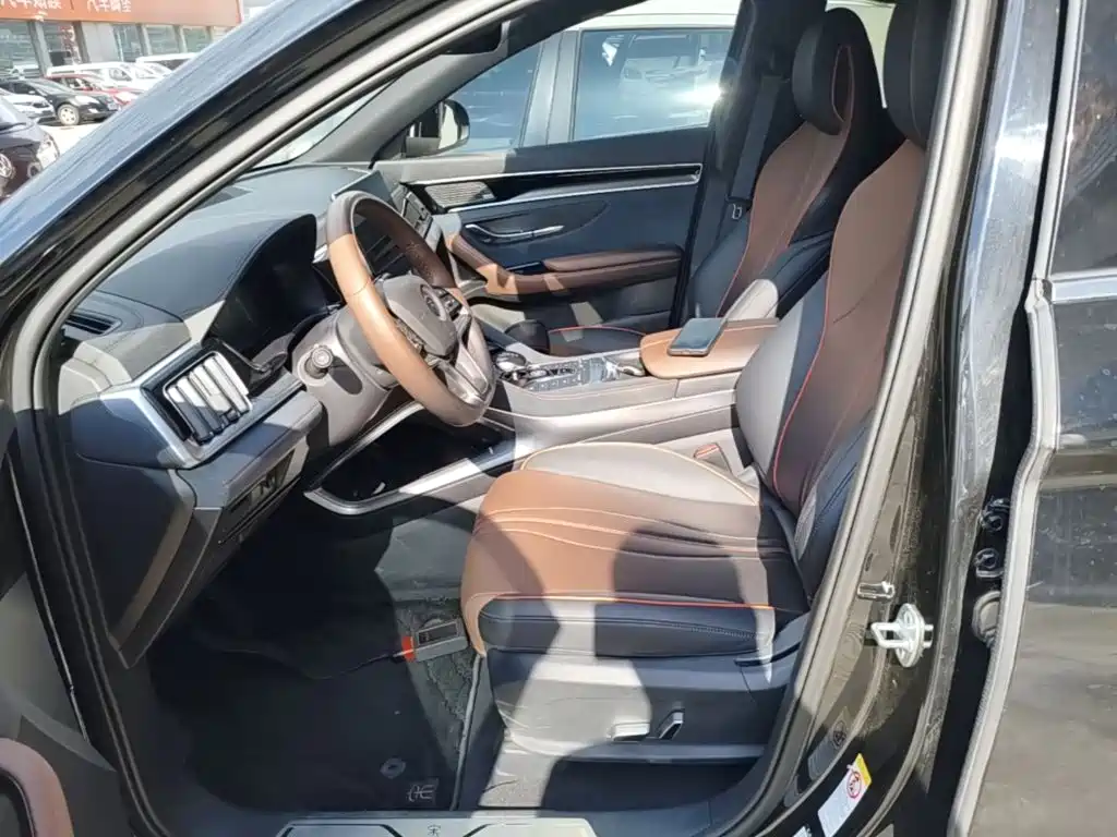 BYD PLUS — миниатюра 15