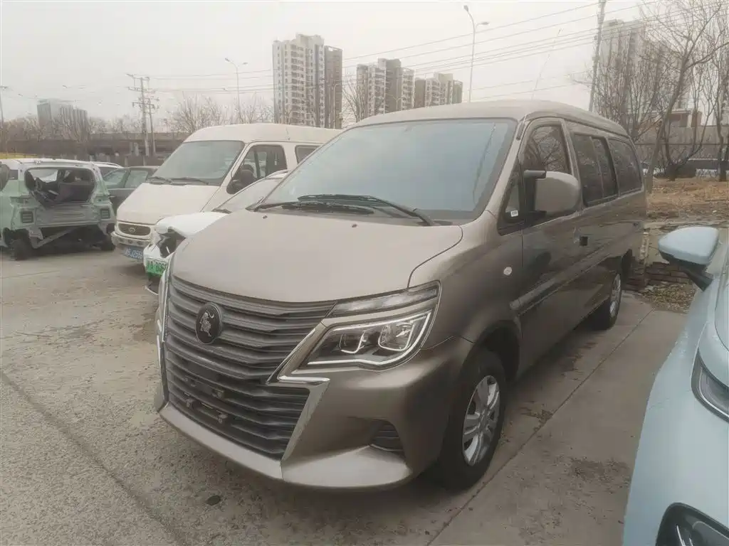 Fengxing Lingzhi 2025