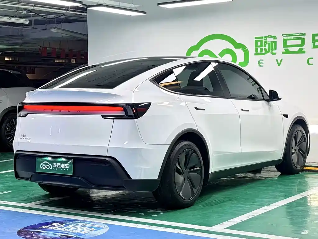 Tesla Model Y — миниатюра 16