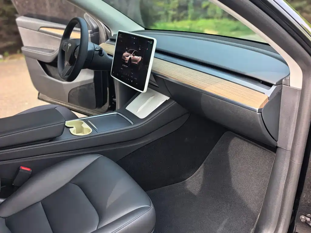 Tesla Model Y — миниатюра 11