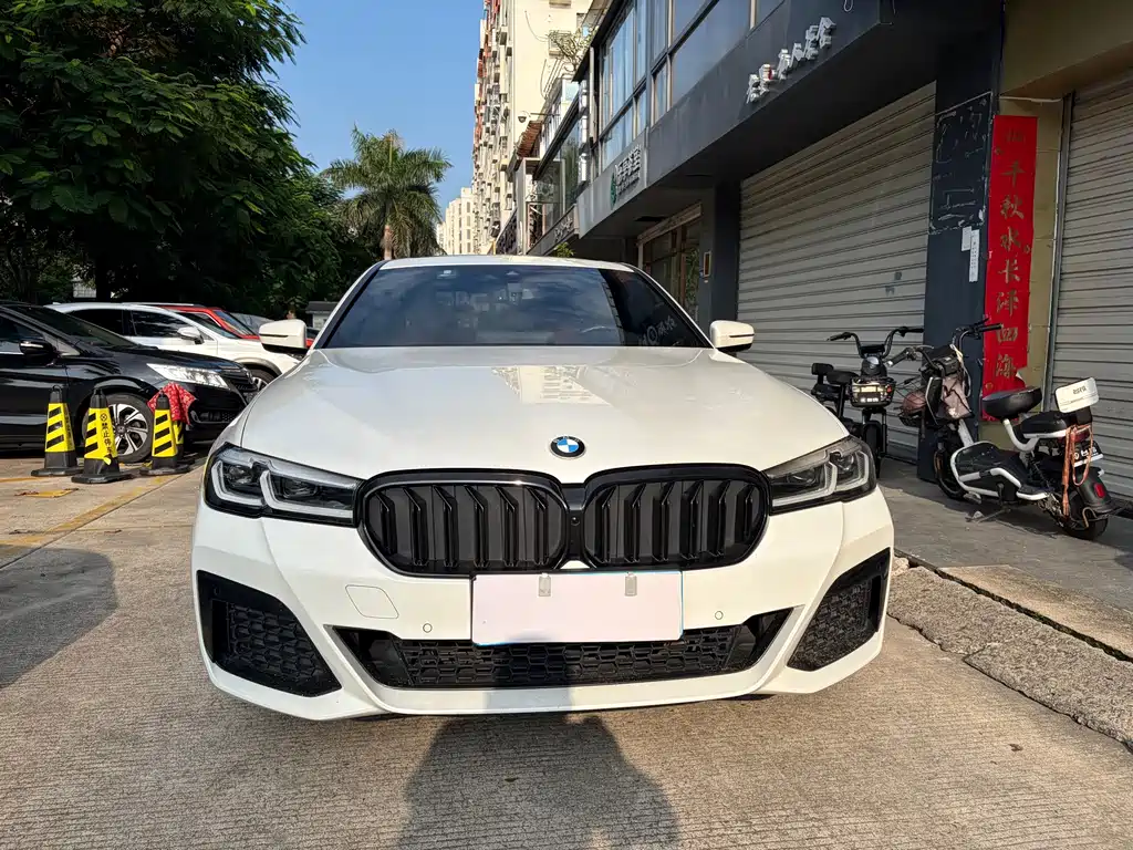 BMW 5 Series — миниатюра 2