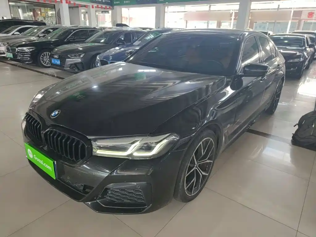 BMW 5 Series (Import) — миниатюра 2