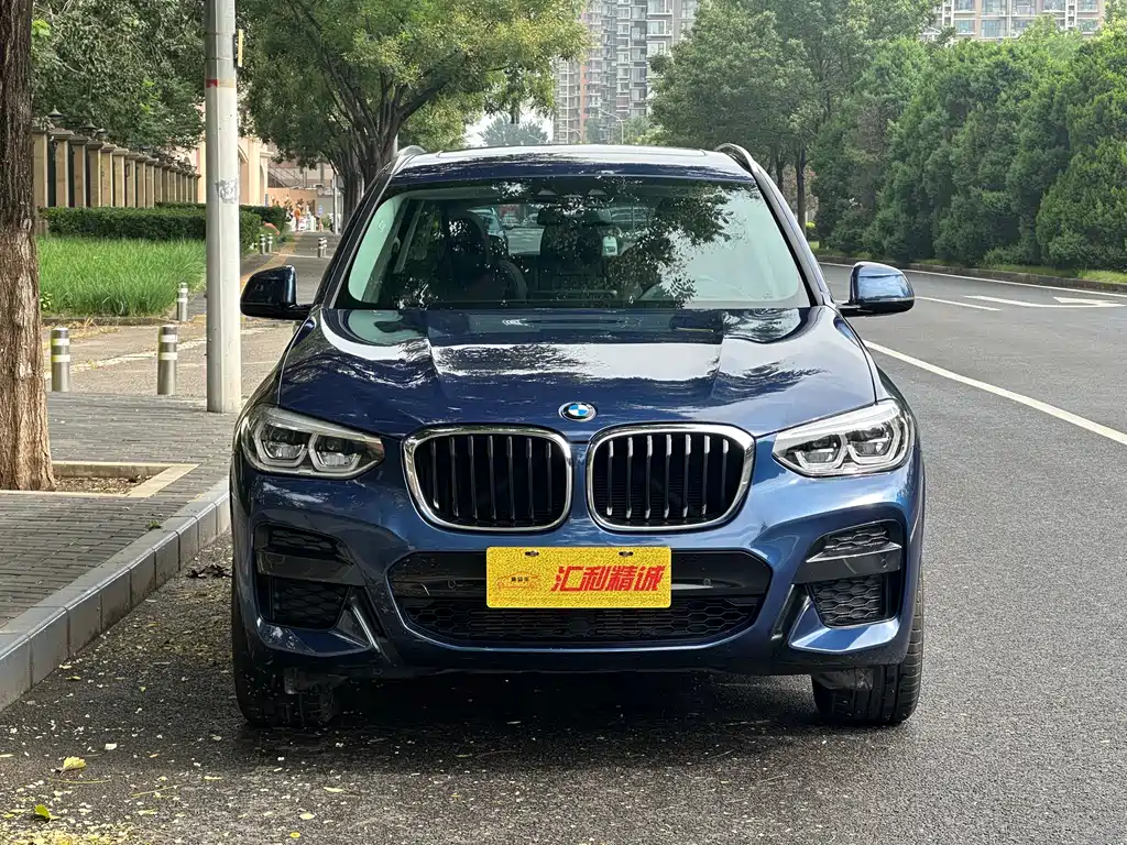 BMW  X3