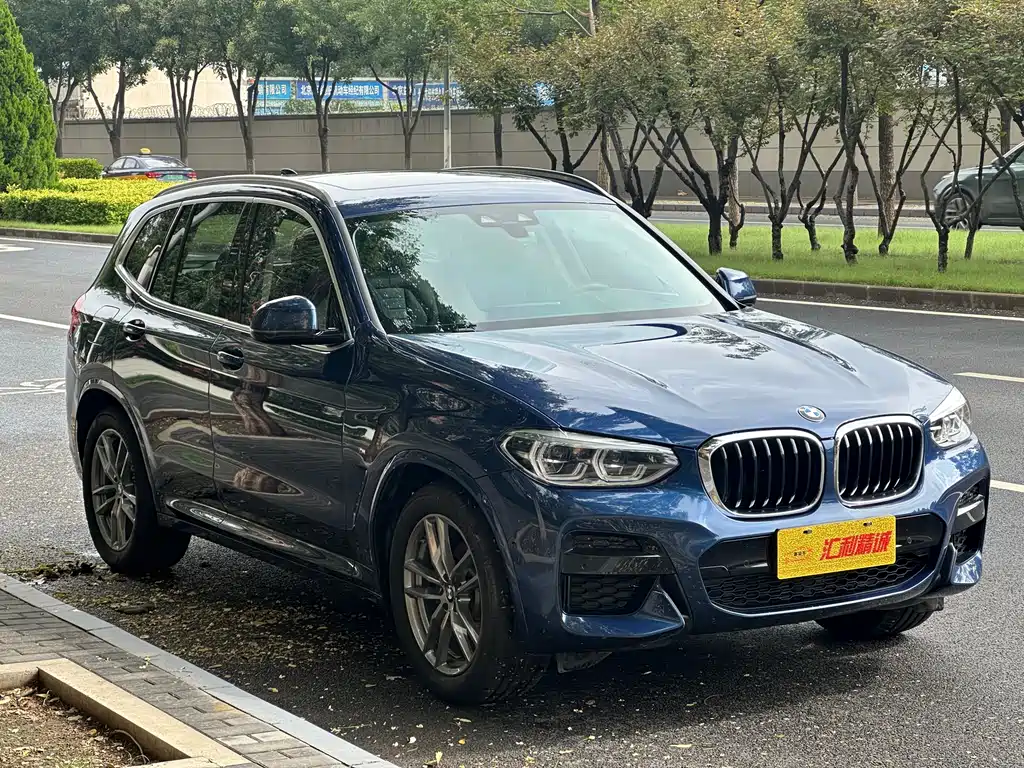 BMW  X3