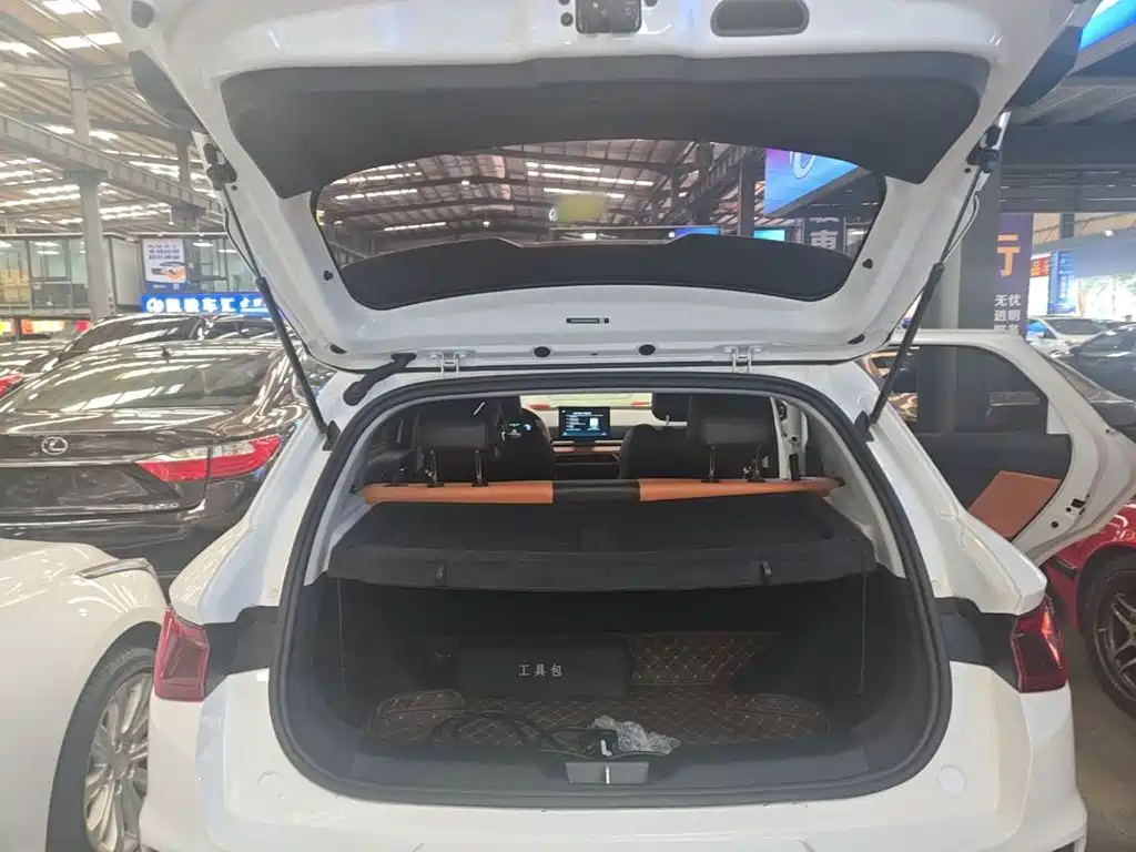 BYD e2 — миниатюра 19