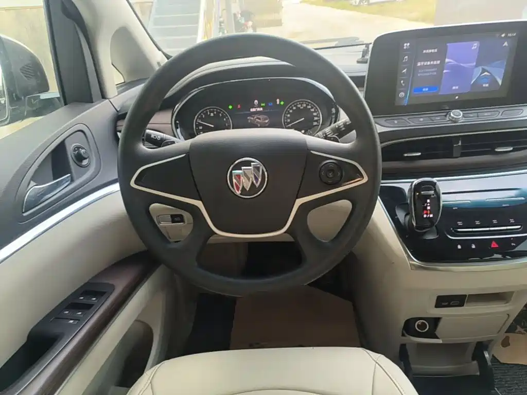 Buick GL8 — миниатюра 11