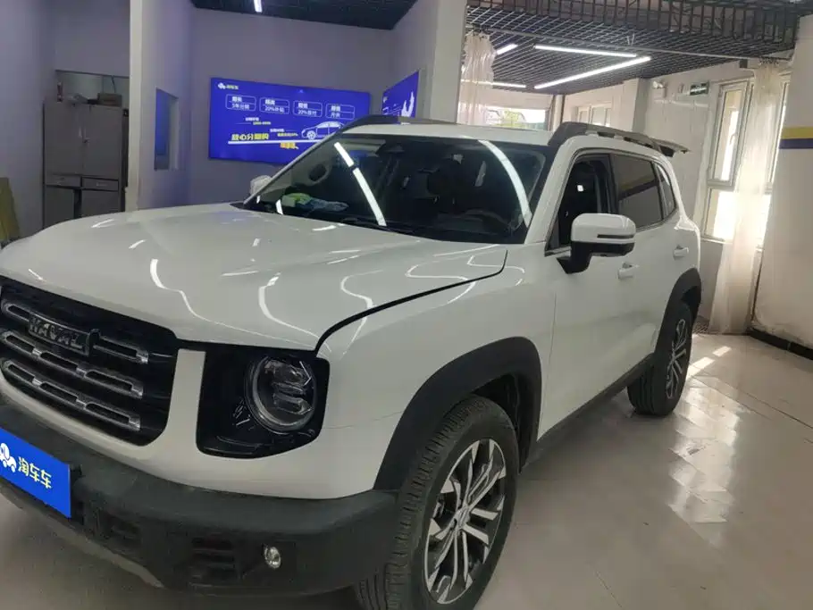 Haval Big Dog
