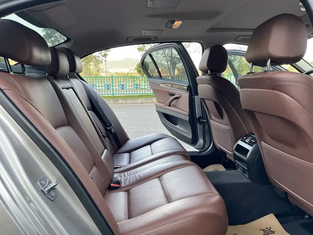 BMW 5 Series 520Li Elegant Type, фото 9