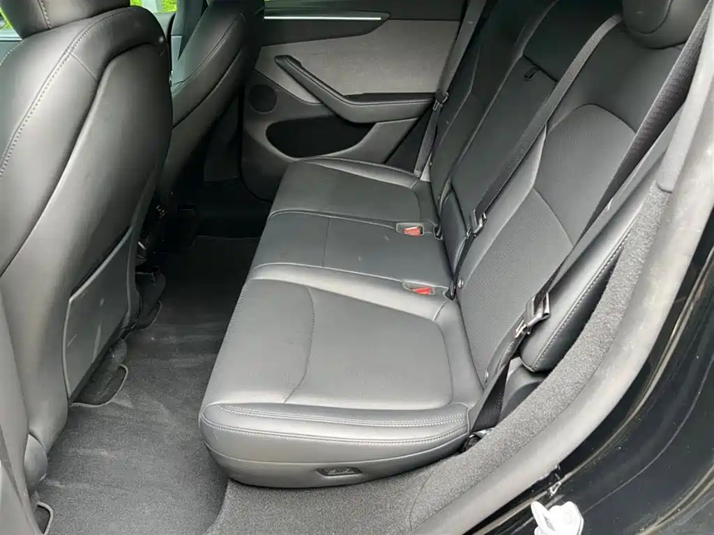 Tesla Model Y — миниатюра 5