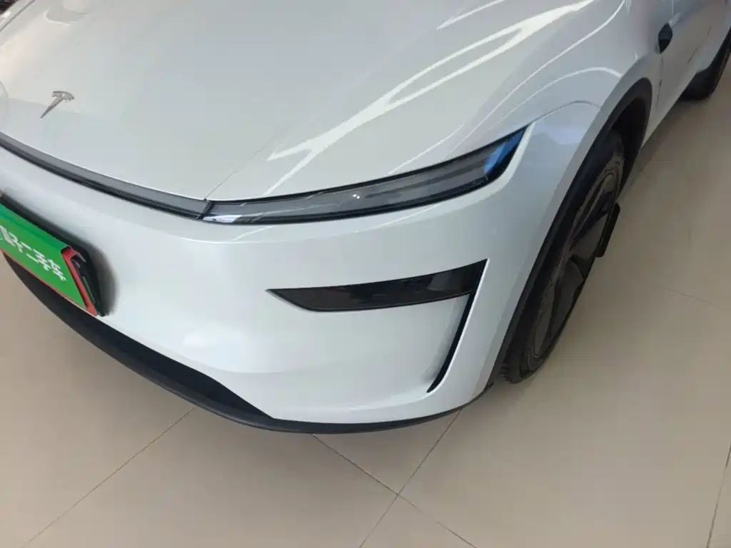 Tesla Model Y — миниатюра 24