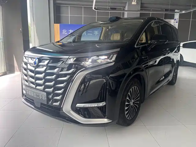 2025 Denza D9