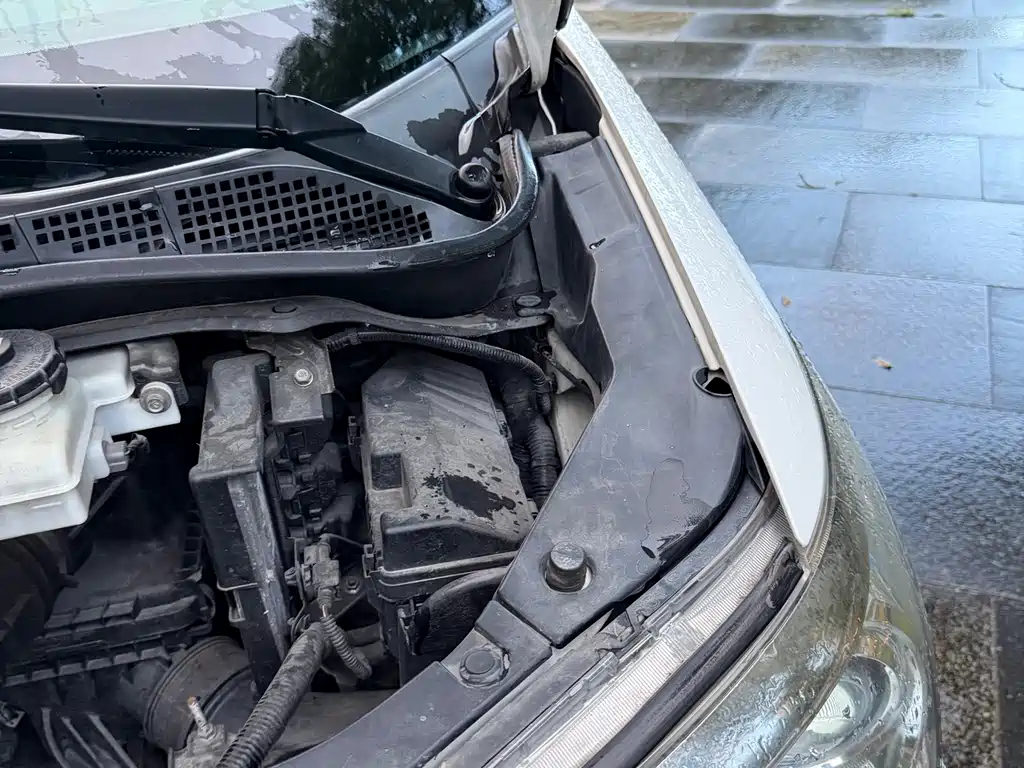 Honda Elysion — миниатюра 26