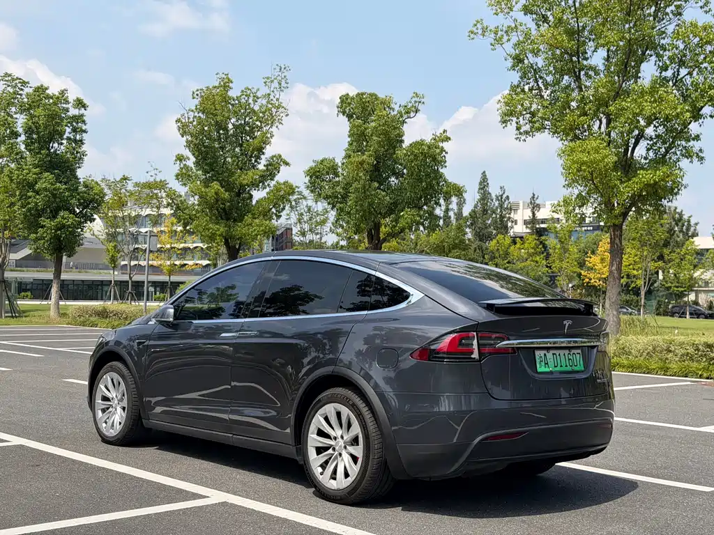 Tesla Model X — миниатюра 19