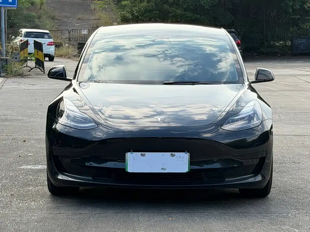 Tesla Model 3 — миниатюра 2