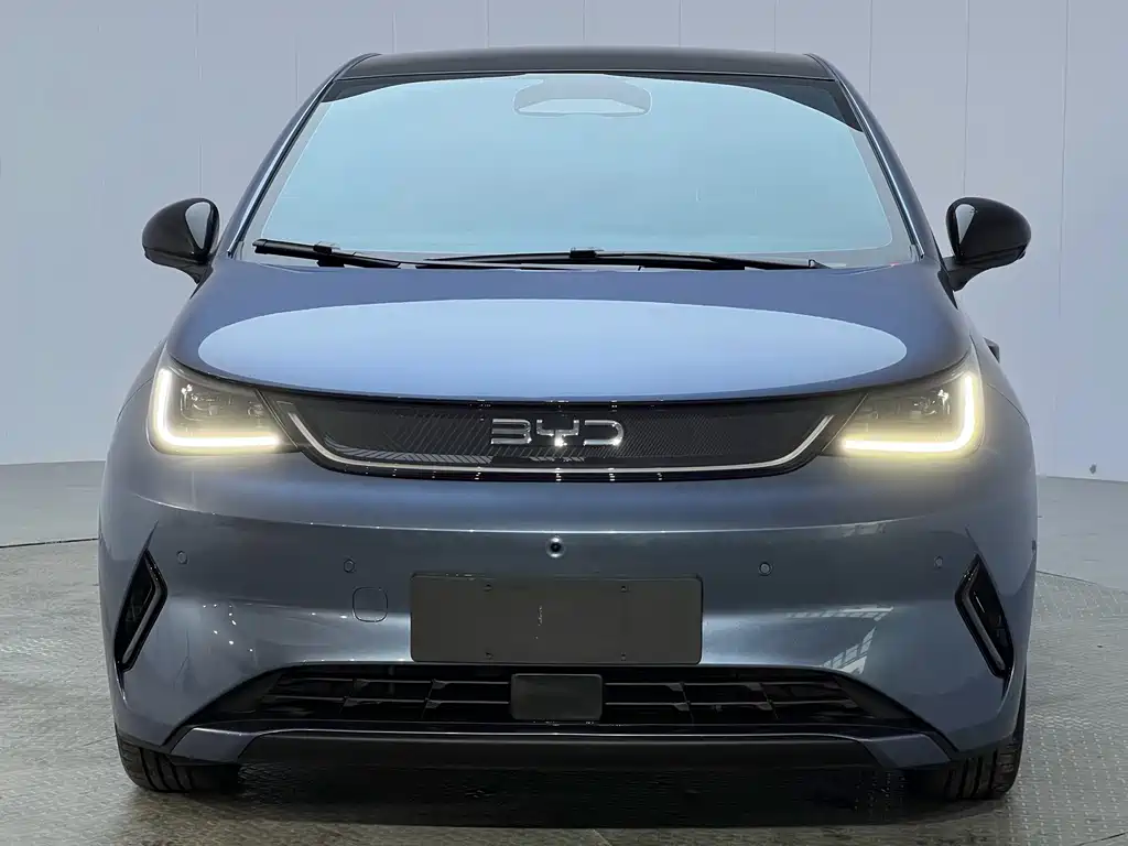 BYD Dolphin — миниатюра 2