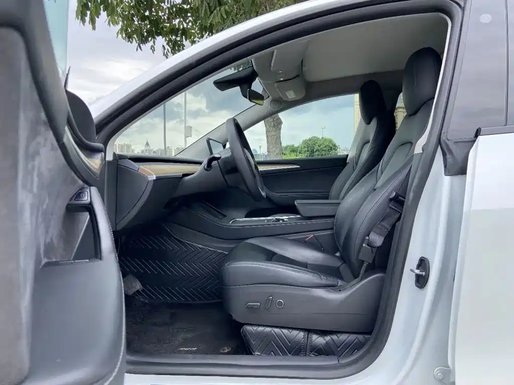 Tesla Model Y — миниатюра 4