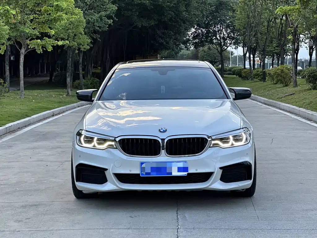 BMW 5 Series 5 2019 530Li Premium M Sport