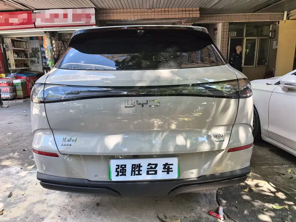 BYD Sea Lion 06 06 2025 DM-i 205 Pro