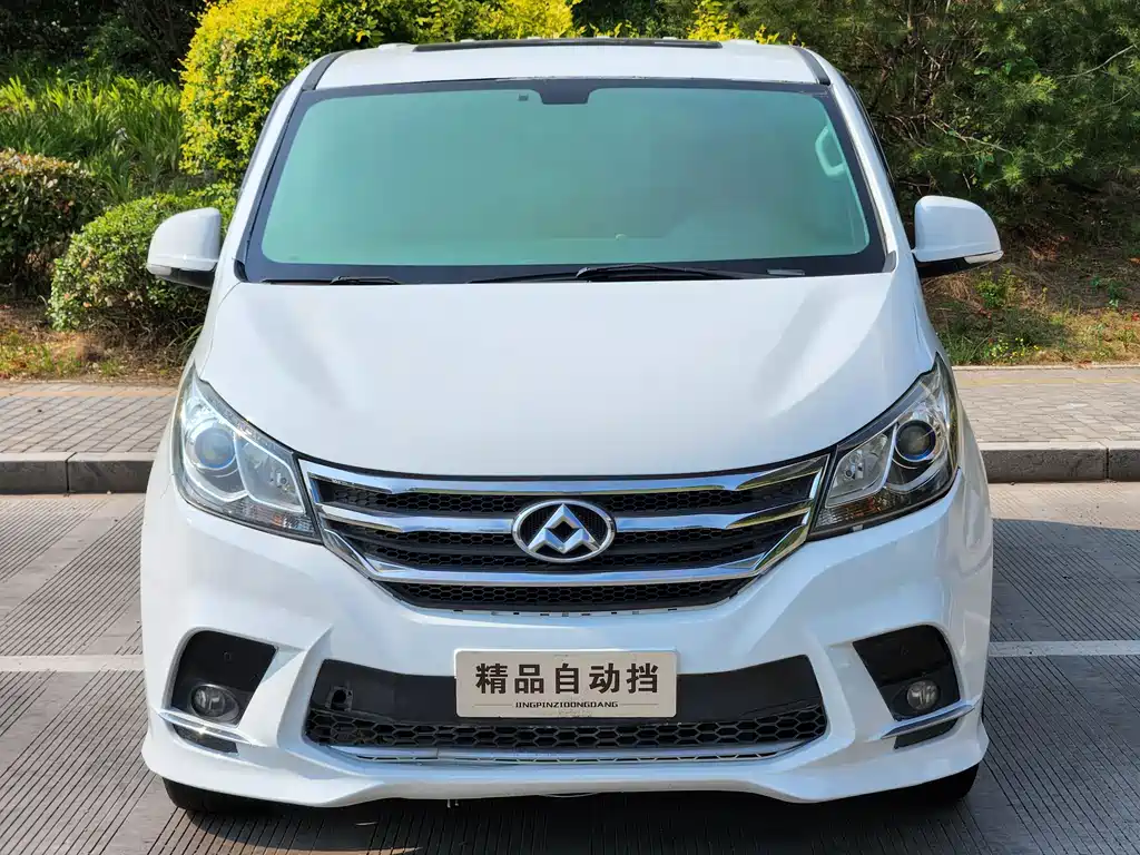 SAIC MAXUS CHASE G10