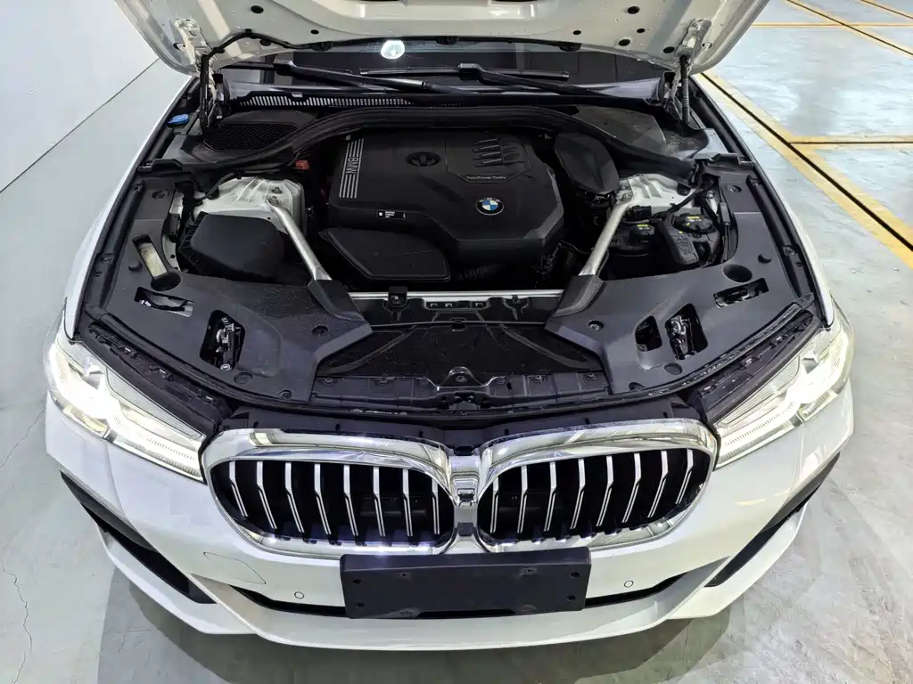 BMW 5 Series 5 2022 530Li Premium M Sport