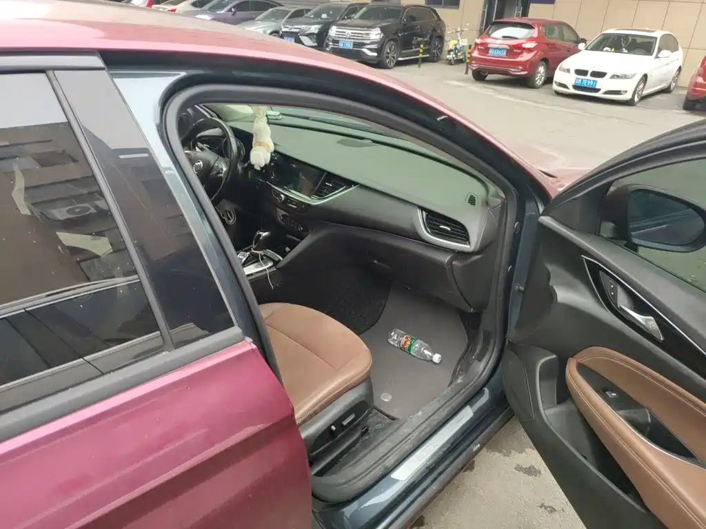 Buick Regal — миниатюра 19