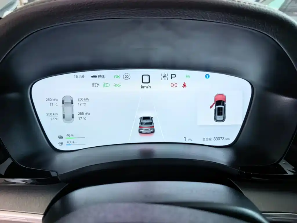 BYD PLUS New Energy — миниатюра 12