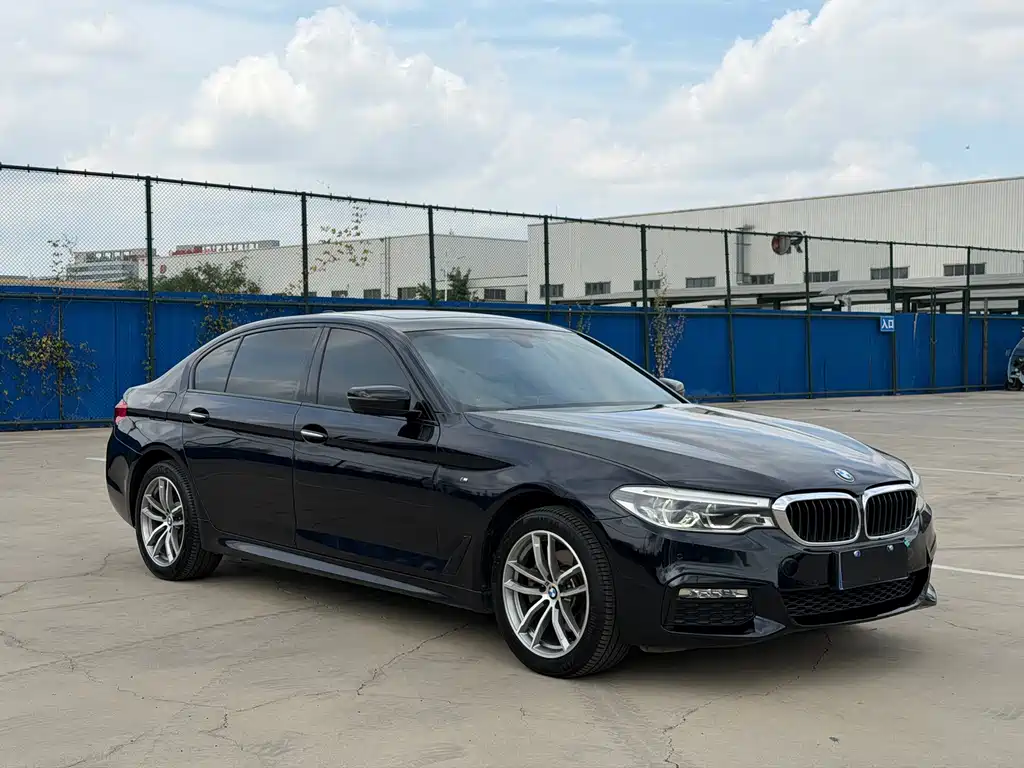 BMW 5 Series — миниатюра 3