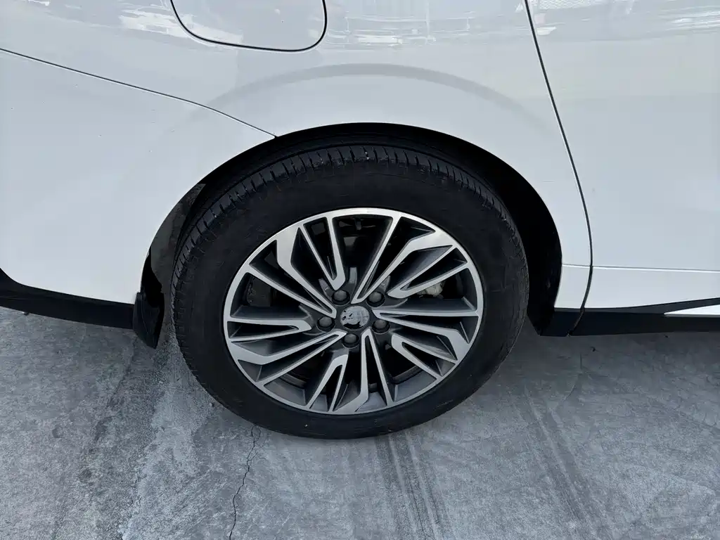 DONGFENG POPULAR YACHTS