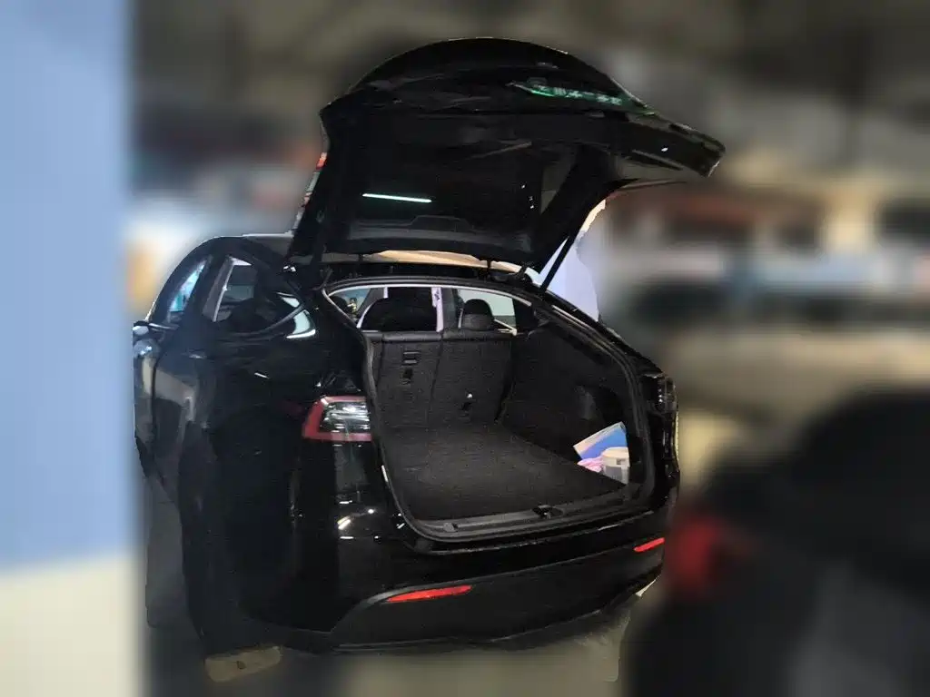 Tesla Model Y — миниатюра 10