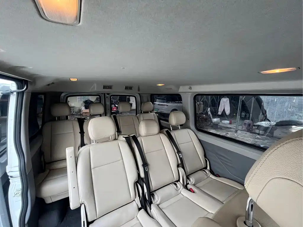 MAXUS V80 — миниатюра 12