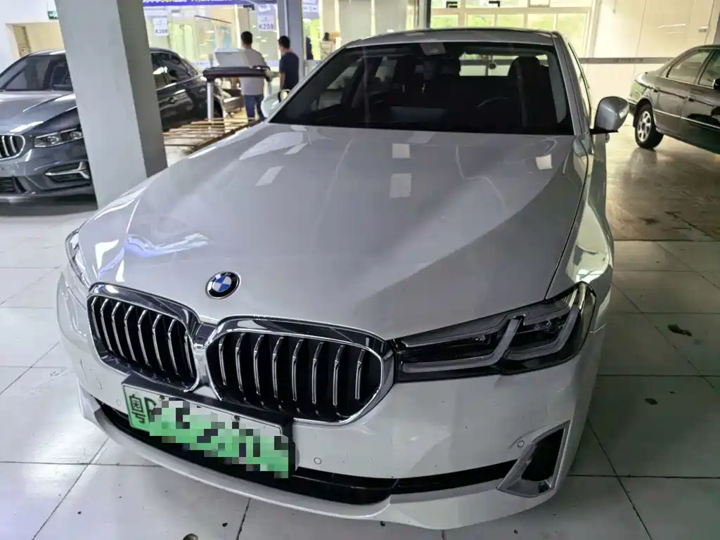BMW 5 Series New Energy 2021